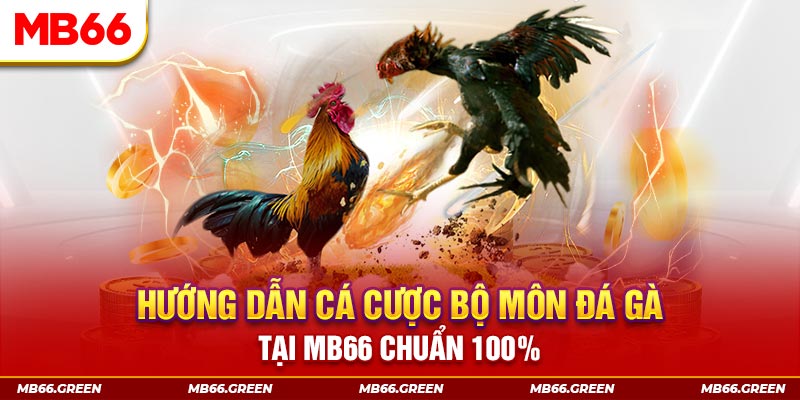 8kbet456 xổ số bình định