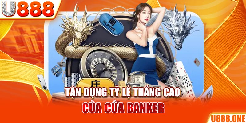 8kbet456 đá gà trực tiếp hôm nay