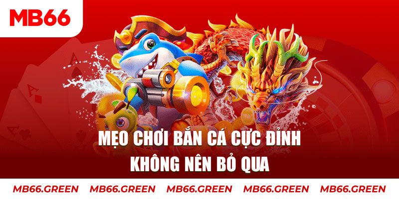 8kbet456 casino ở đâu
