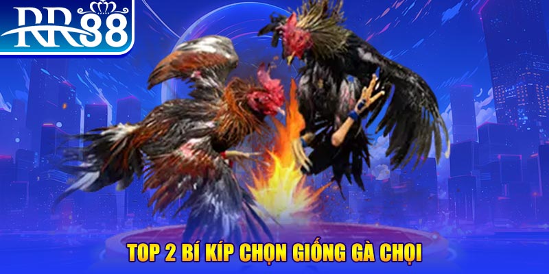 8kbet456 đăng nhập roulette dễ thắng