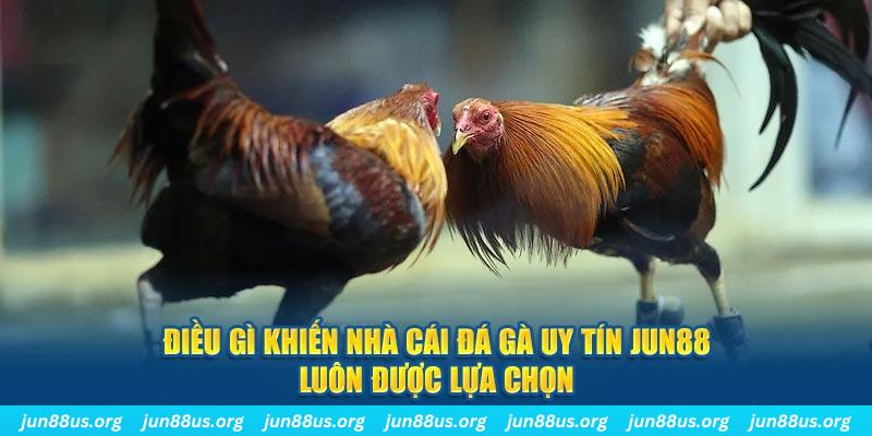 8kbet456 qq88 nổ hũ bắn cá