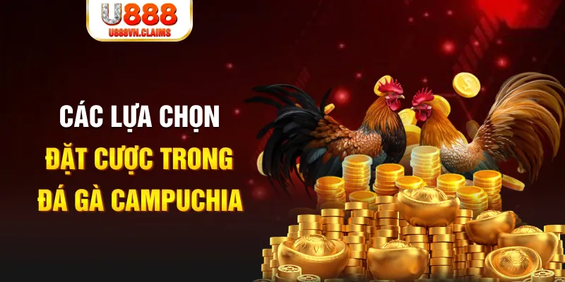8kbet456 SW Xổ Số