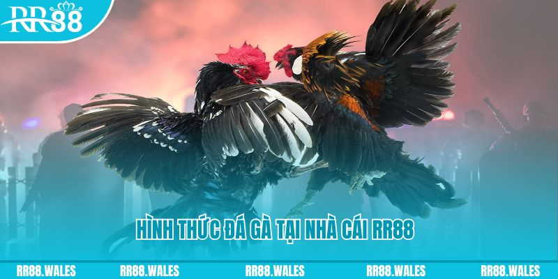 8kbet456 xin 1 slot là gì