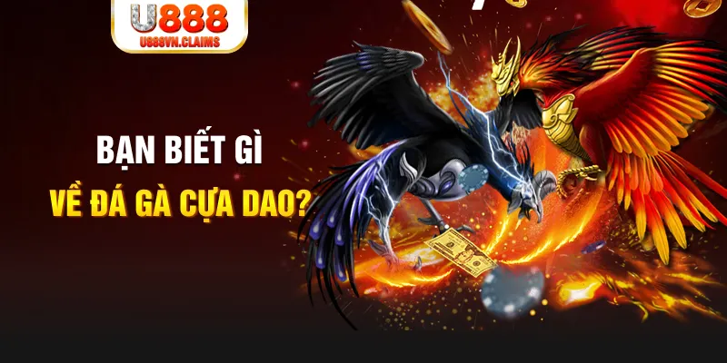 8kbet456 xổ số kiến thiết