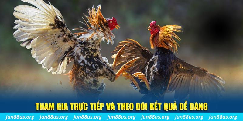 8kbet456 đá gà trực tiếp bình luận viên