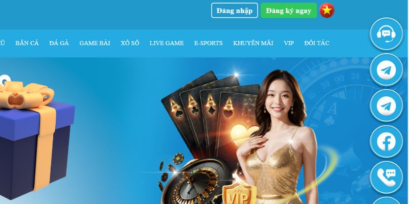 8kbet456 slot là gì dịch