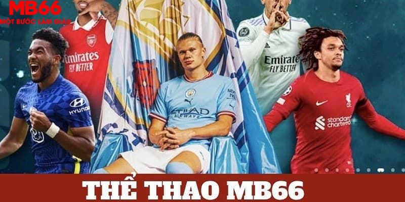 8kbet456 tỷ lệ cá cược châu á là gì