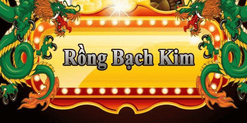 8kbet456 đăng nhập roulette 2025