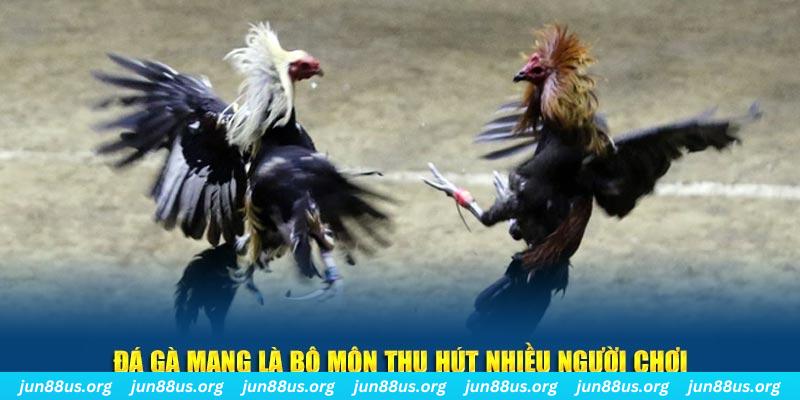 8kbet456 xổ số cà mau