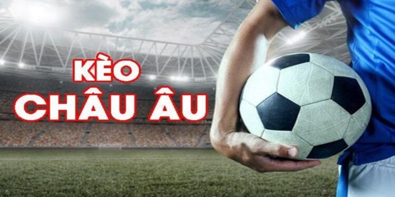 8kbet456 đá gà trực tiếp casino