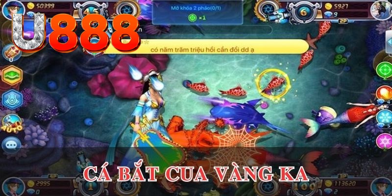 8kbet456 đăng nhập phỏm uy tín