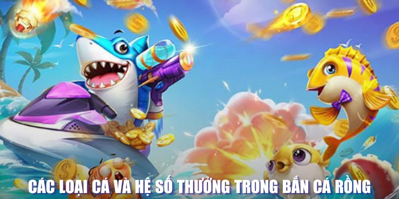8kbet456 loi game dot kich ket noi may chu that bai