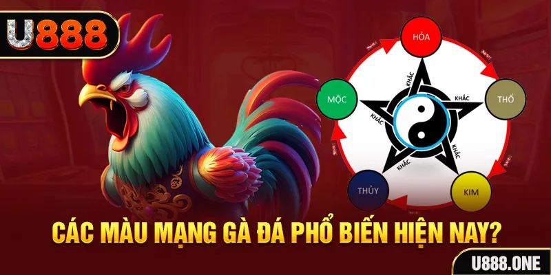 8kbet456 đăng nhập mậu binh