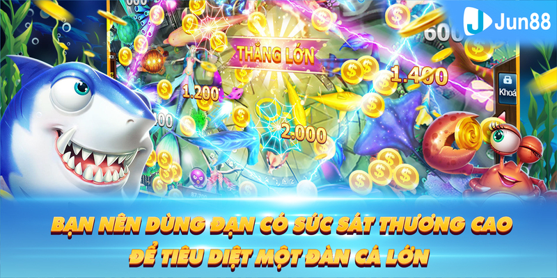 8kbet456 Tung Đồng Xu
