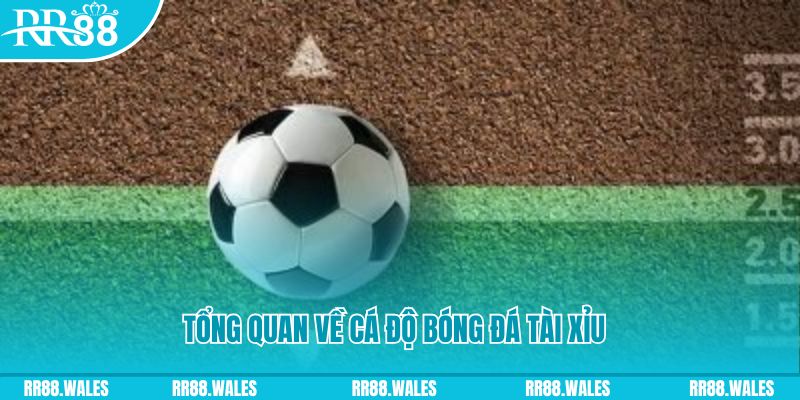 8kbet456 đăng nhập lô đề online