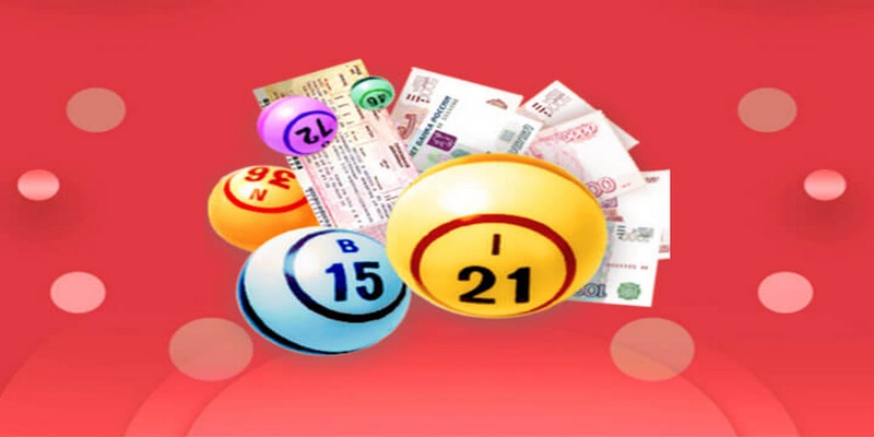 8kbet456 cá cược thể thao là gì