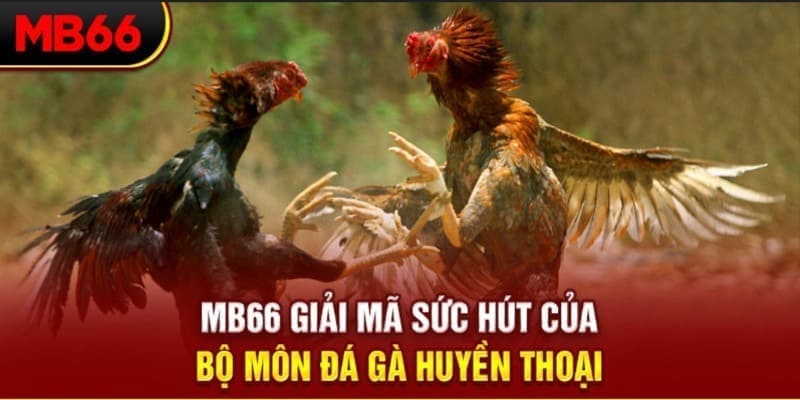 8kbet456 Phi Đội Ưu Tú