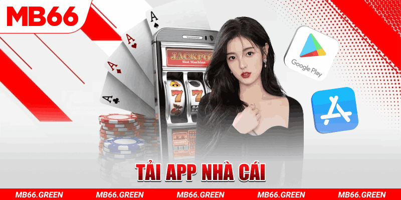 8kbet456 xổ số vũng tàu