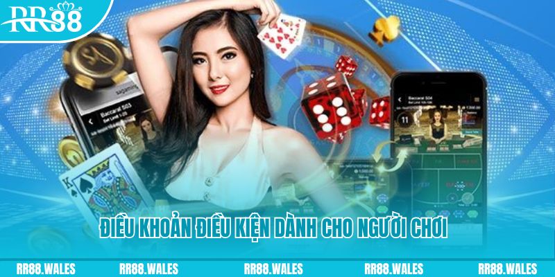 8kbet456 đăng nhập roulette khuyến mãi