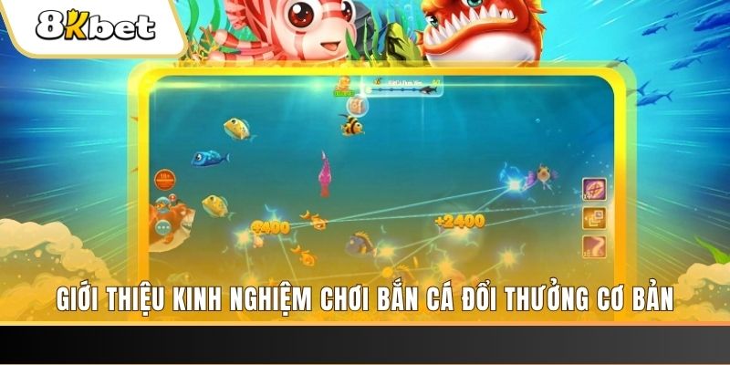 8kbet456 xổ số miền bắc thứ năm hàng tuần