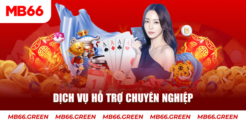 8kbet456 AOG Đá Gà