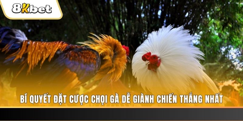8kbet456 Tài Xỉu 2