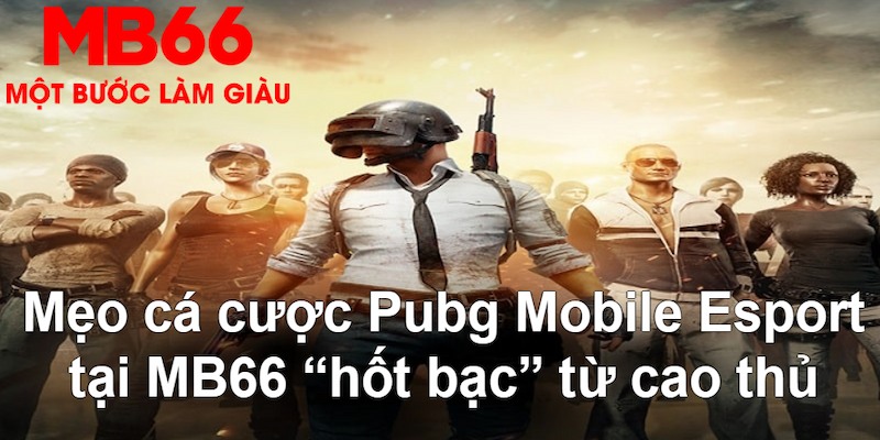 8kbet456 gà chọi mộc hóa