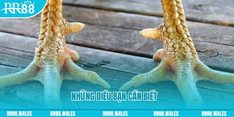 8kbet456 đăng nhập liêng hàng đầu