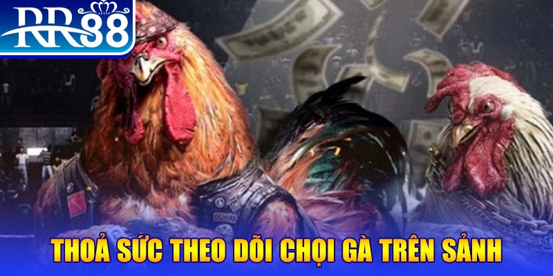 8kbet456 đá gà 88.com