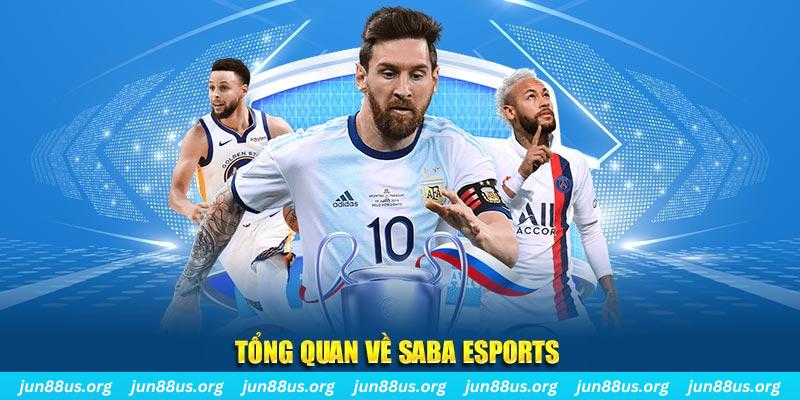 8kbet456 gà chọi c1 tv trực tiếp hôm nay