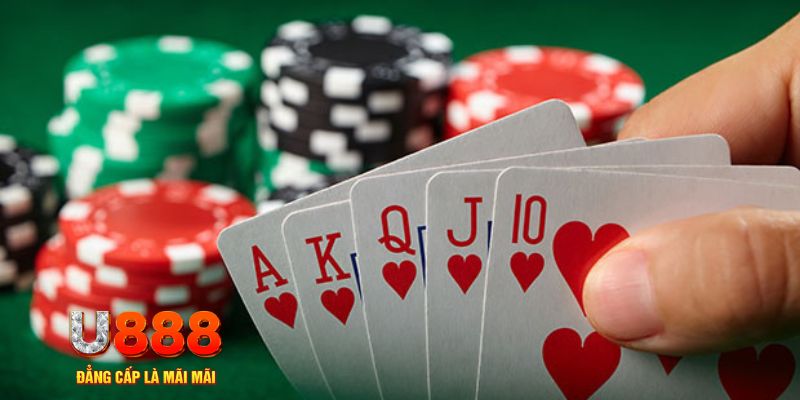 8kbet456 trực tiếp đá gà